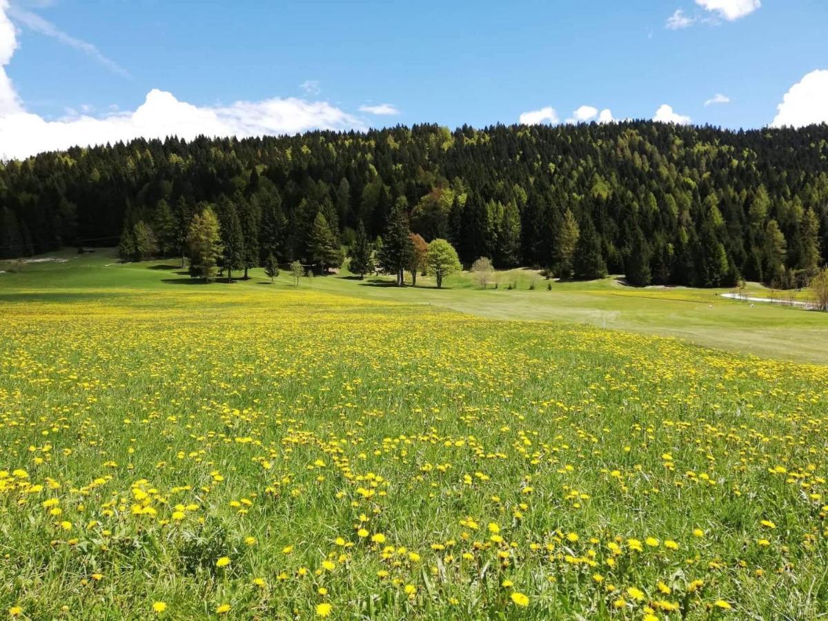 Wanderlust B&B Folgaria Exterior foto