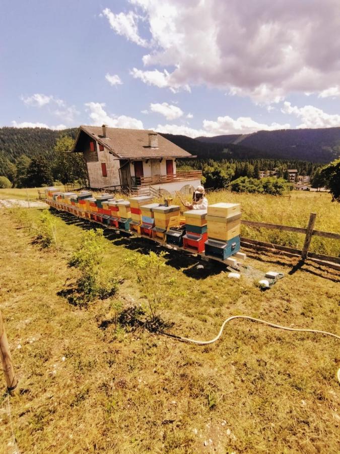 Wanderlust B&B Folgaria Exterior foto