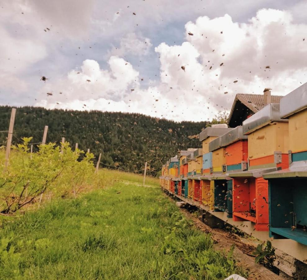 Wanderlust B&B Folgaria Exterior foto
